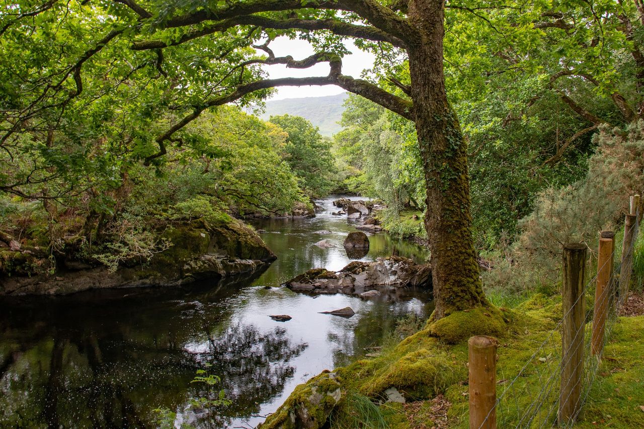 Minister will 'push for best outcome' in water-quality review