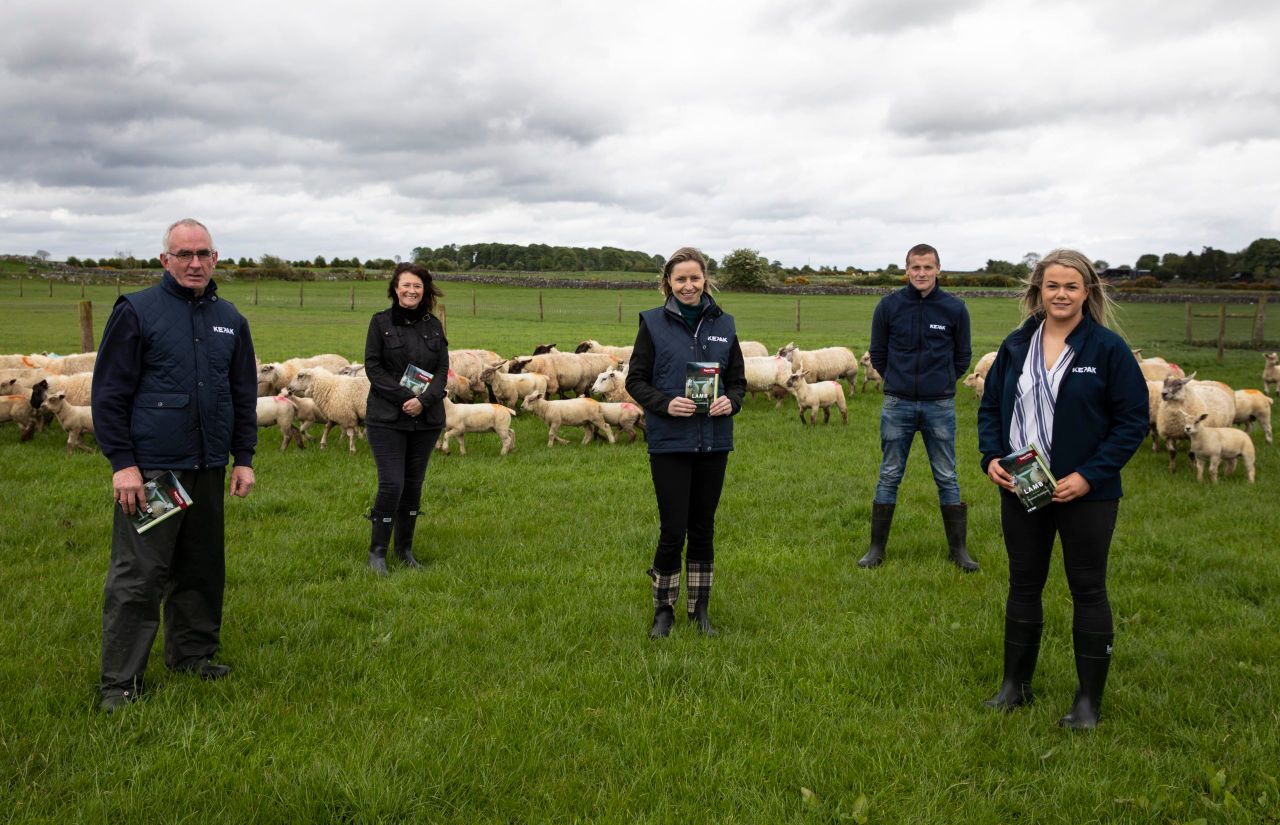 Kepak and Supervalu develop 'Lamb Producer Guidelines'
