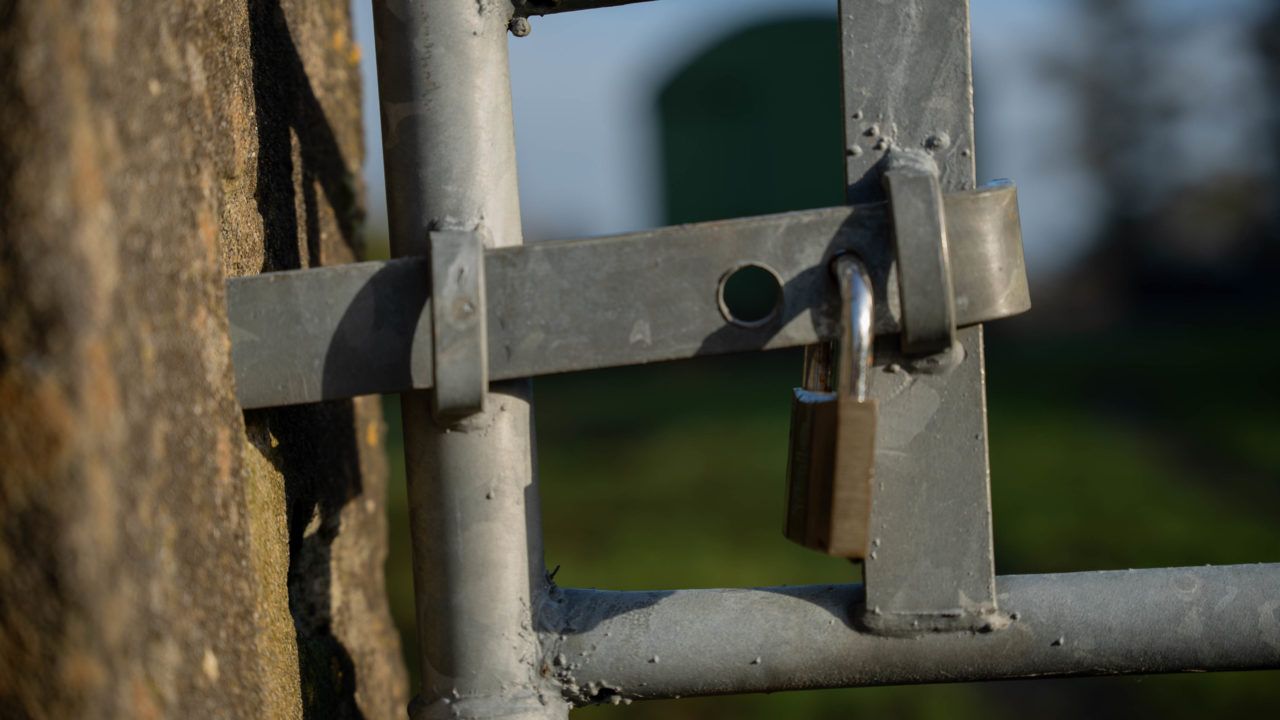 Farmers urged to be vigilant as number of sheep stolen rises