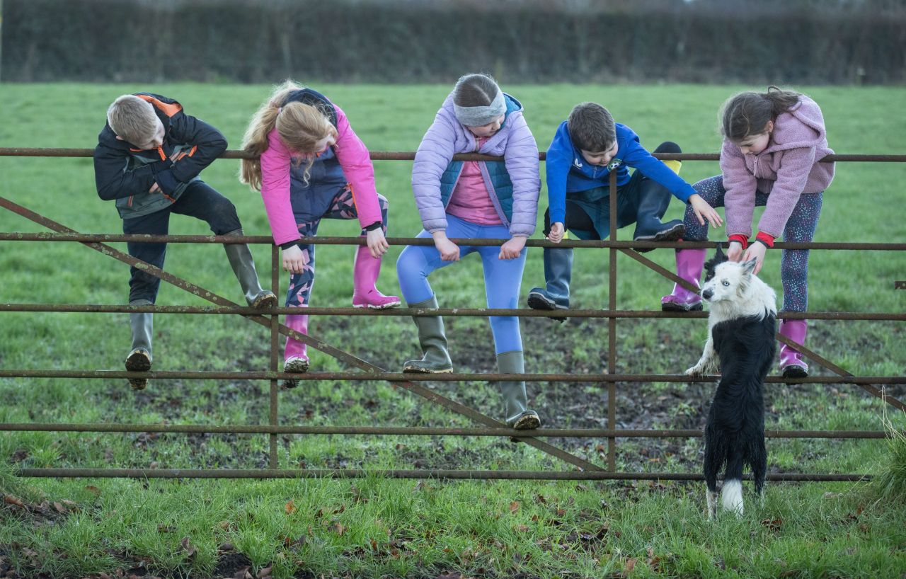 Embrace FARM launches new programme for young people