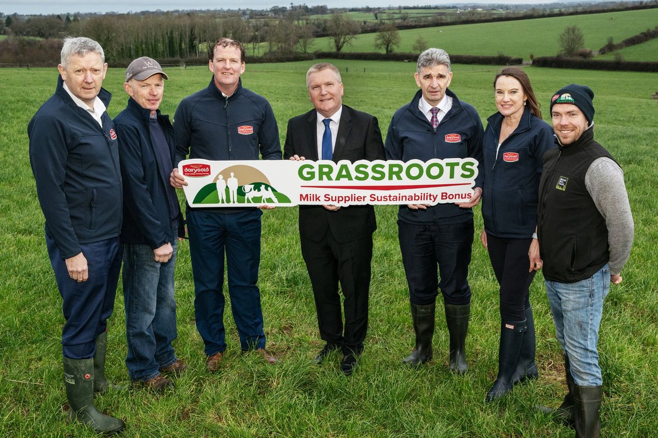 Dairygold increases sustainability bonus to €14m per year