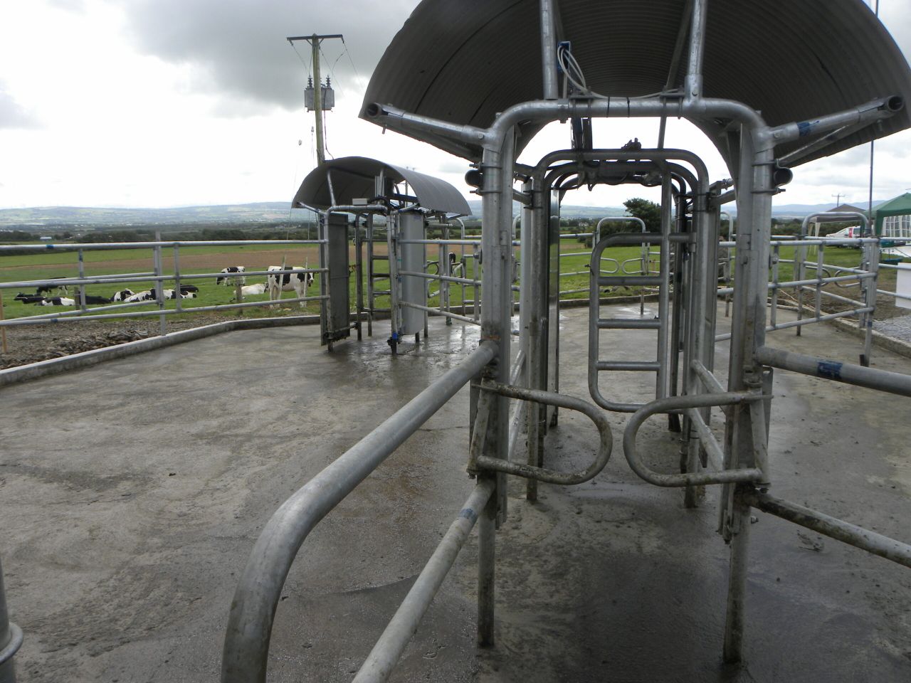 ICOS outlines plans to help the dairy market (raising the intervention price is not one of them)
