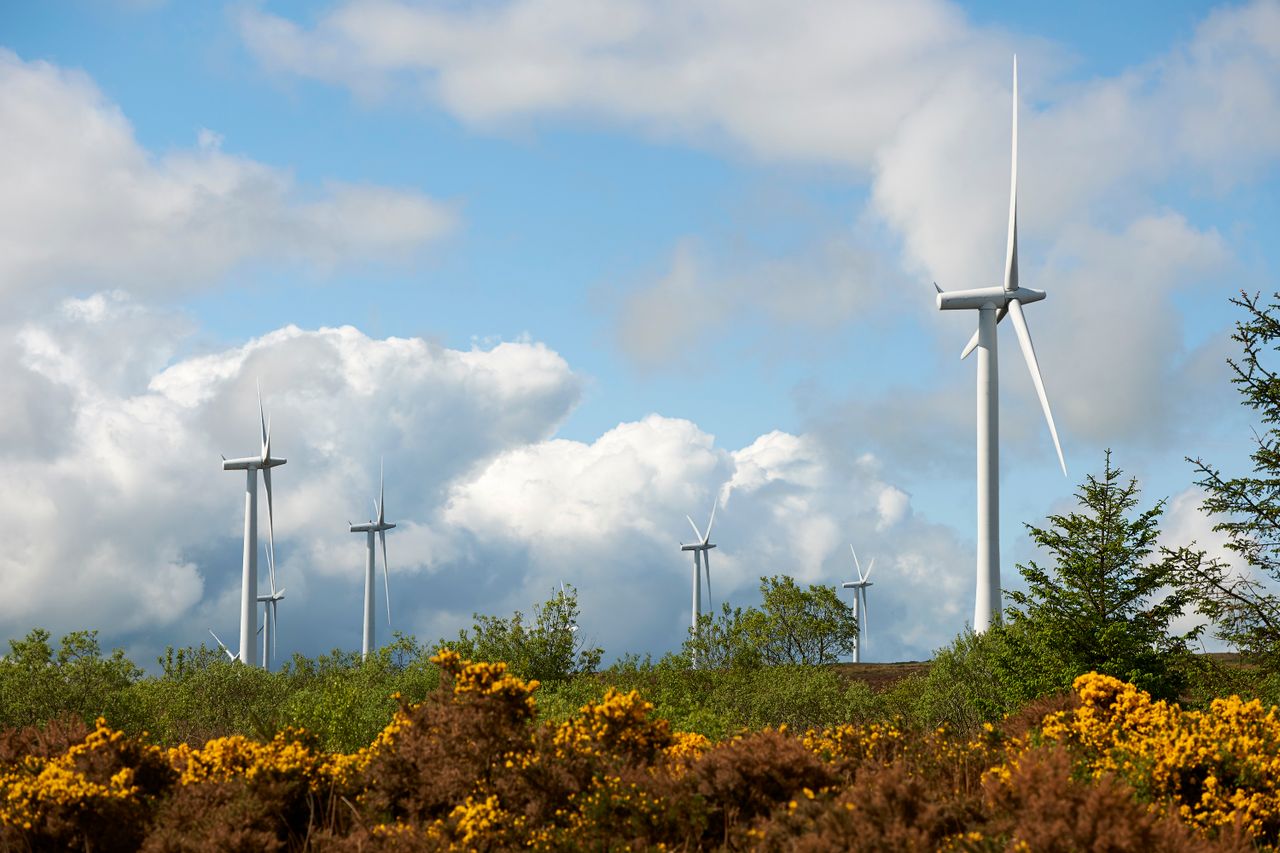 Discussions start at Stormont over NI's 2 proposed environmental bills