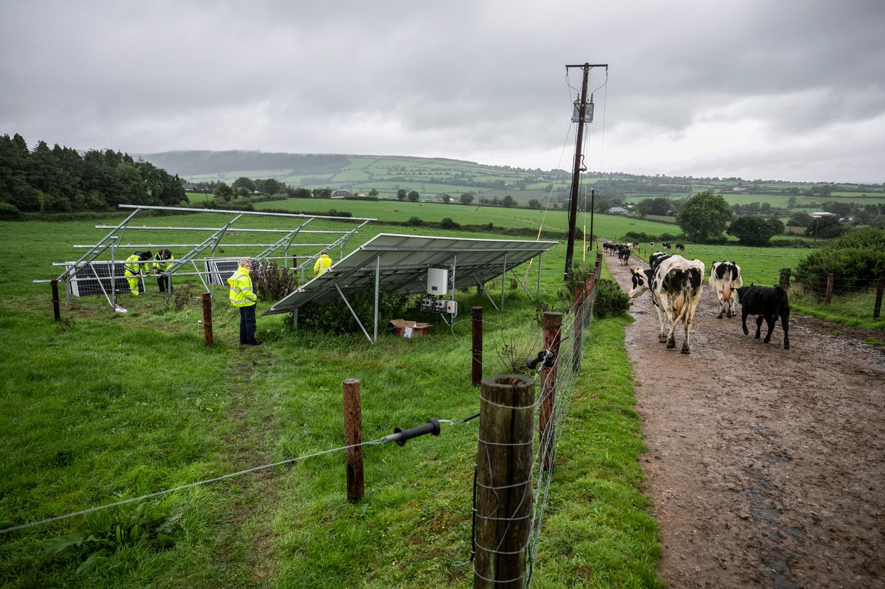 New double-sided solar panels installed on Kilkenny dairy farm