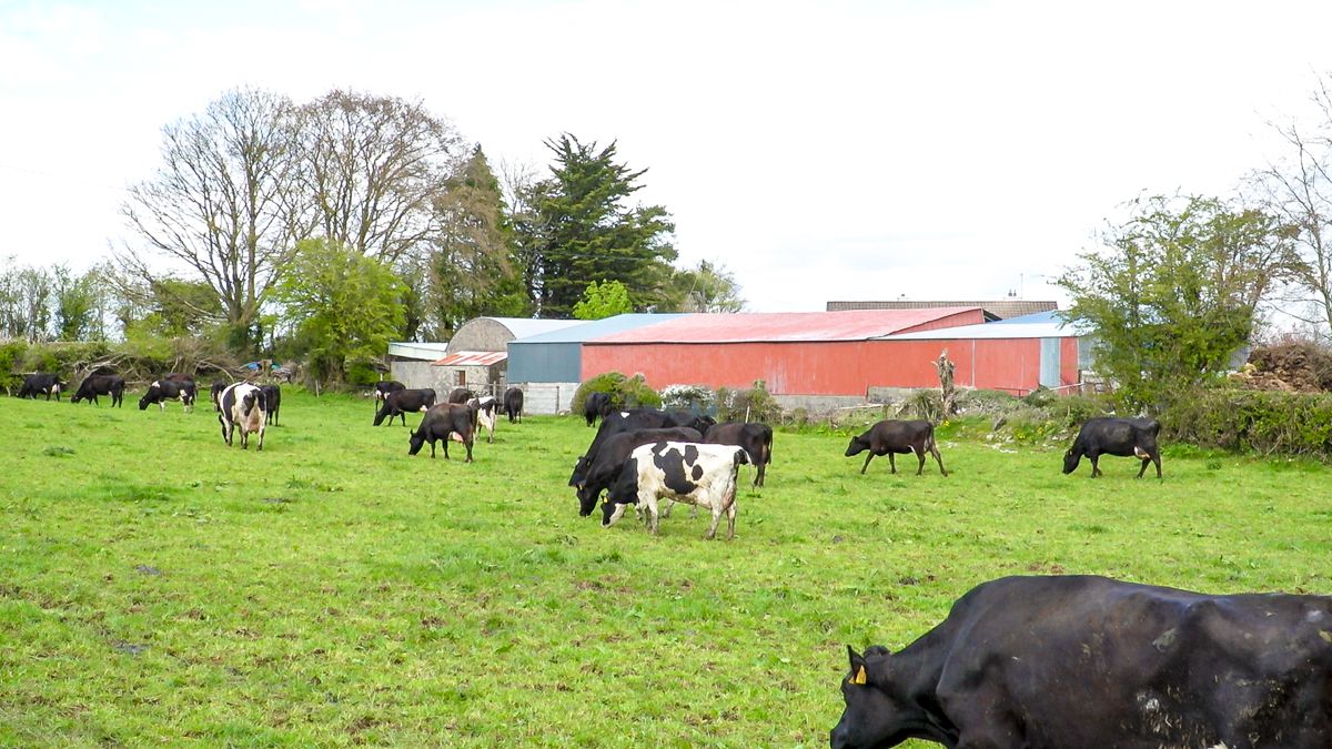 Climate bill does not set emission targets for agriculture - department