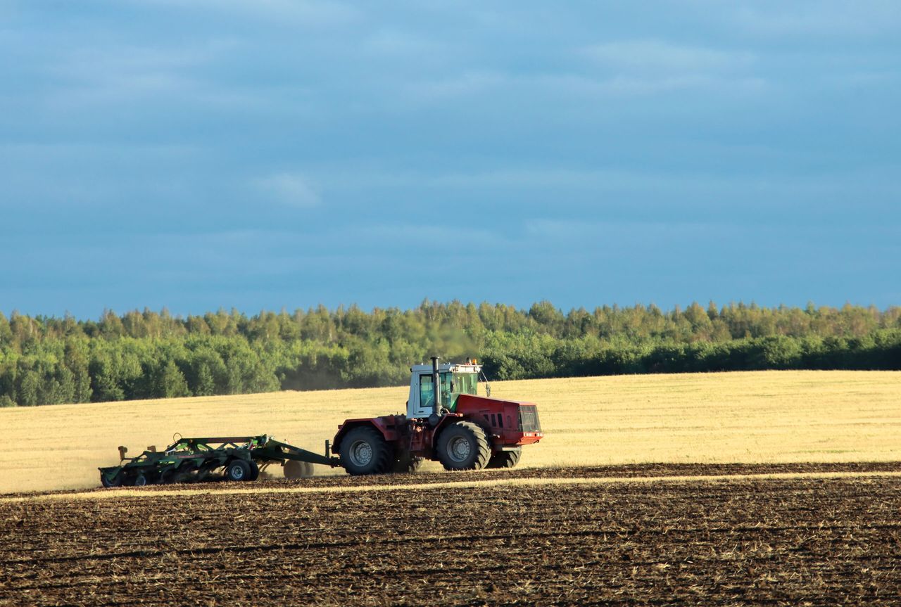 Budget 2025 'lacked clarity' for future of tillage sector