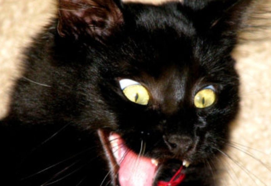 5 fearsome frights for farmers this Halloween