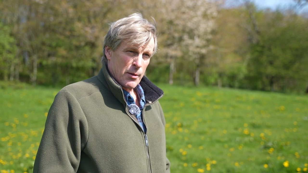 Watch: The dairy farmer who’s moving into forestry