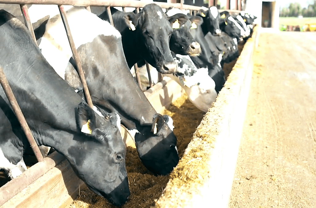 GDT gets a lift in latest auction after 7 consecutive drops