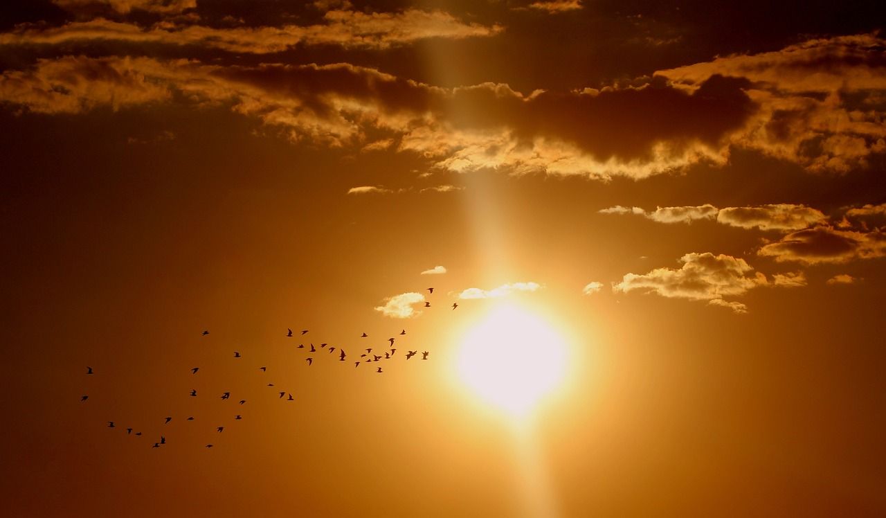 February was warmest month on record globally