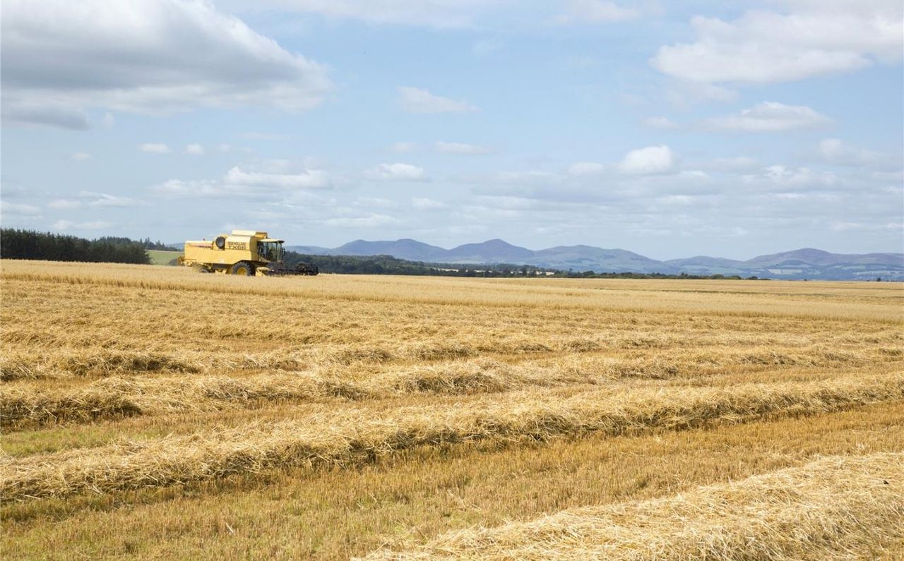 5 amazing farms for sale in the UK