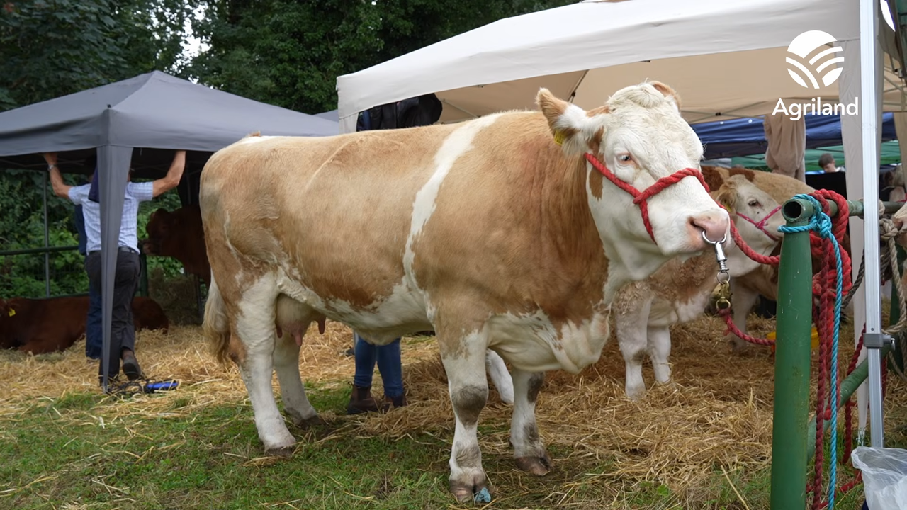 Out and about at the 2026 Virginia Agricultural Show