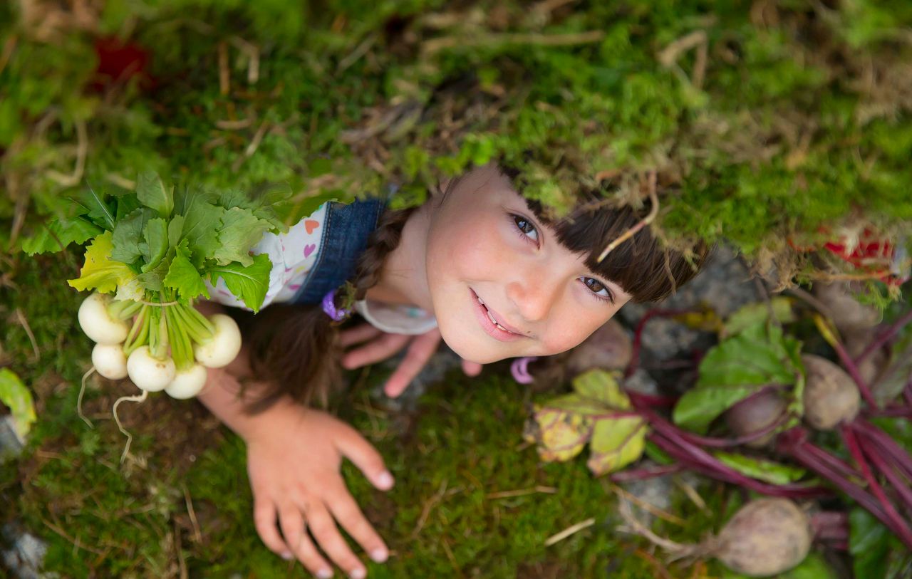 GIY aims to create gardens in all primary schools by 2030