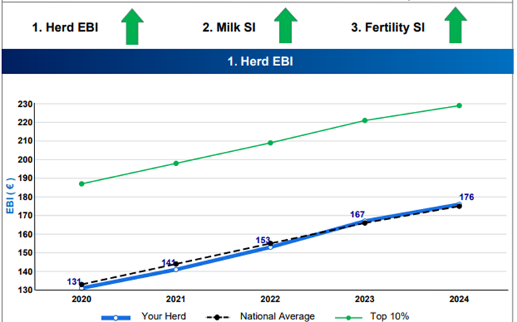 Walshs' herd EBI progress from 2020-2024