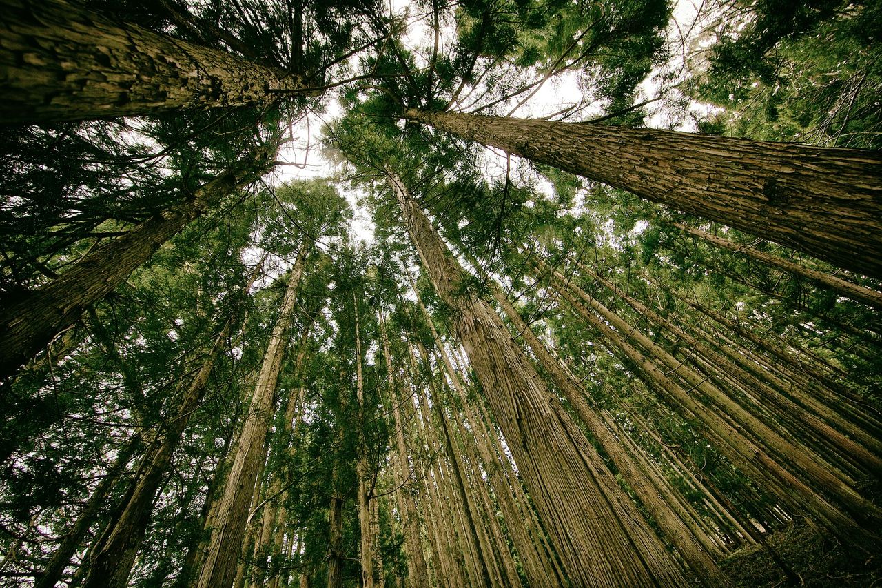 Progress this week on climate legislation at national and EU level