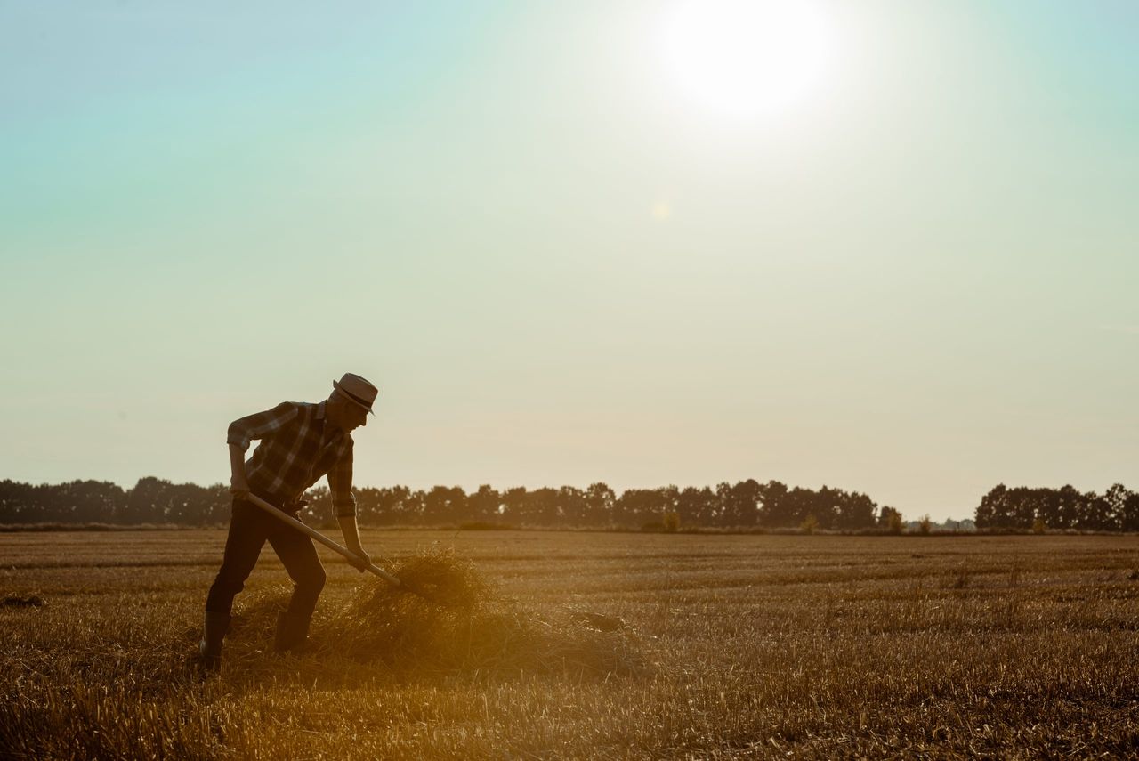 Oireachtas agri committee to discuss farm health and safety