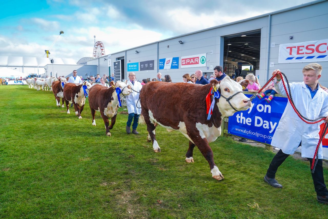 2021 Balmoral Show attendance 'around two-thirds' of normal turn-out
