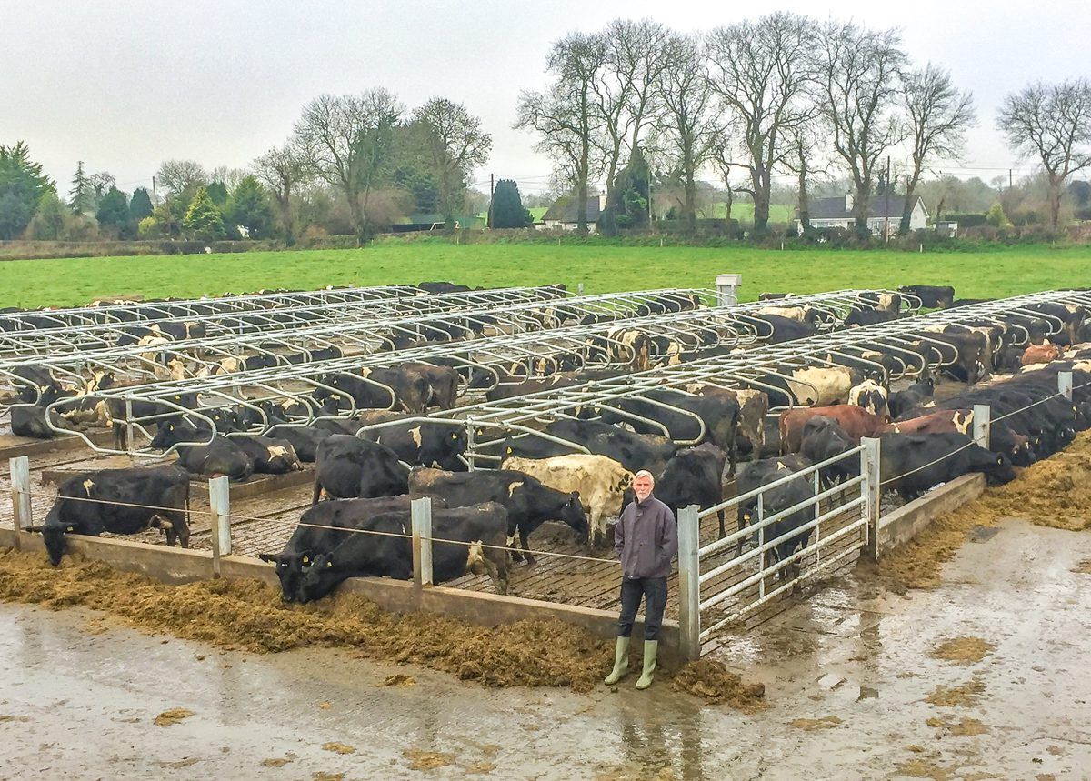 Dairy focus: Gearing up for a 'calf tsunami' in Co. Meath
