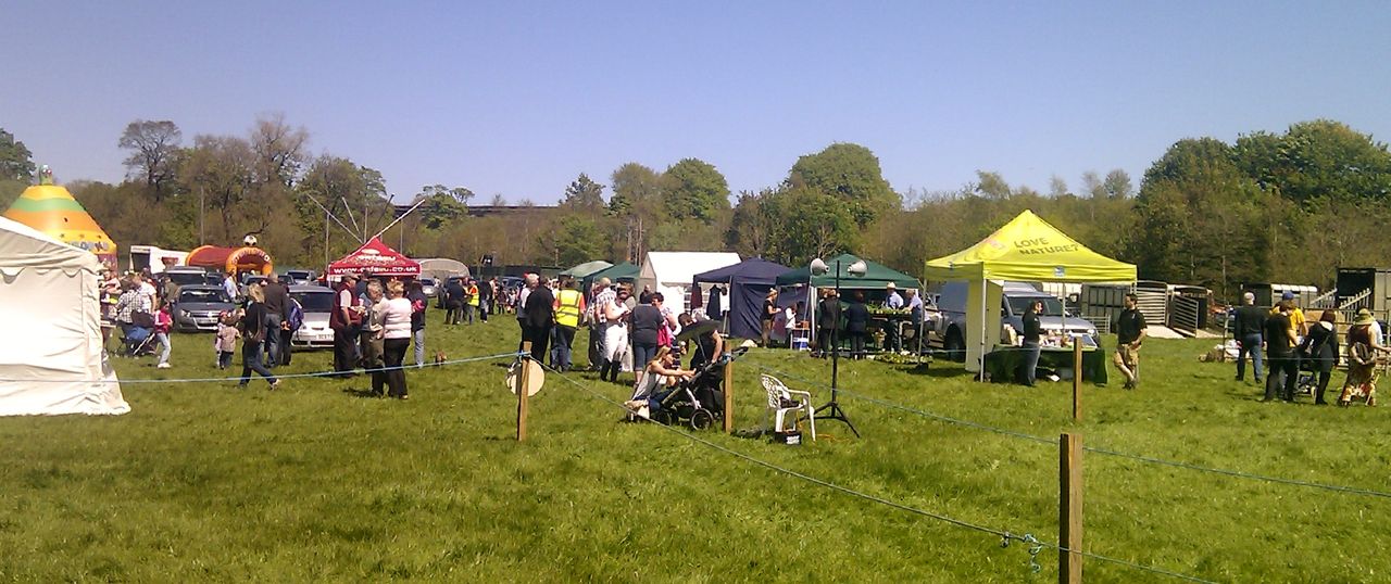 A selection of summer shows to take place tomorrow