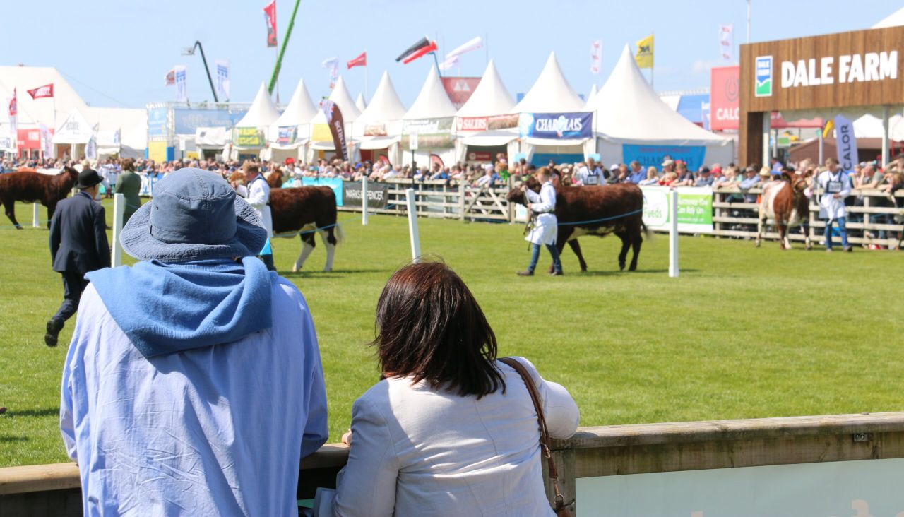 Results and pictures: All the action from the beef rings on Balmoral Day 1