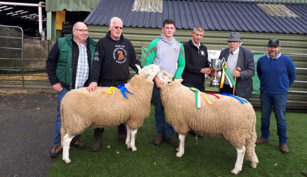 Wicklow Mountain Sheep Breeders’ Association holds 77th annual show and sale