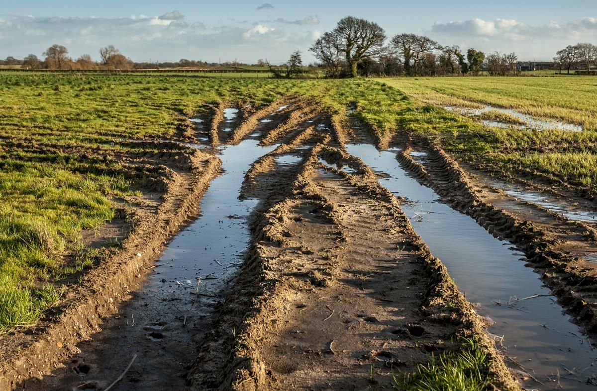 A wet start to the week but less unsettled weather on the way - Met Eireann