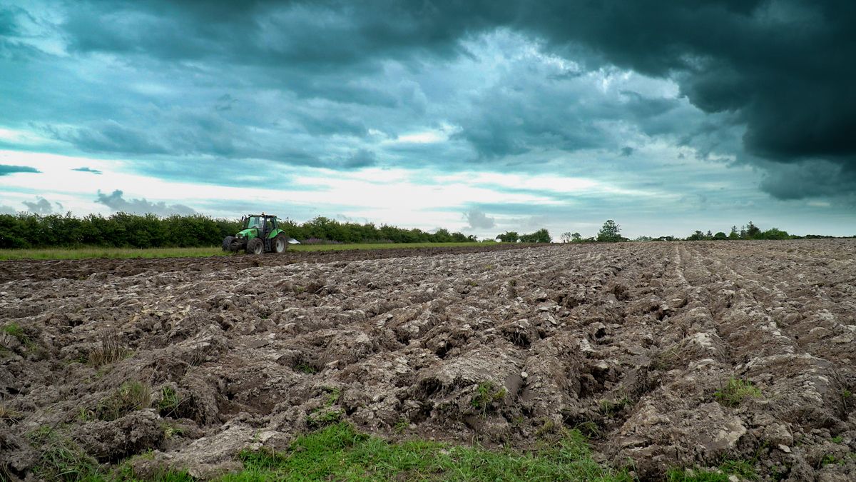 Storm Ashley: Further counties added to orange wind warning