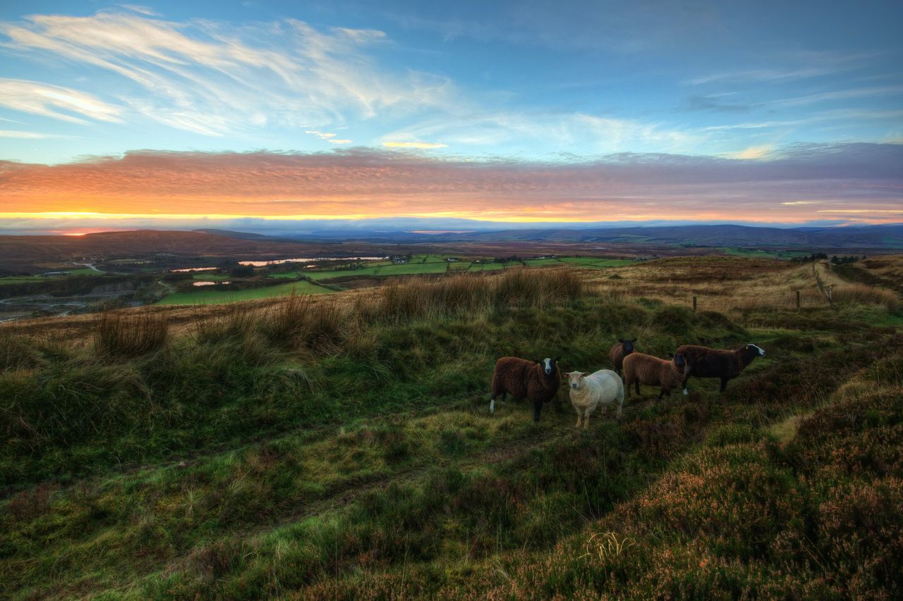 Galway greenway route: Landowners will fight farm severance