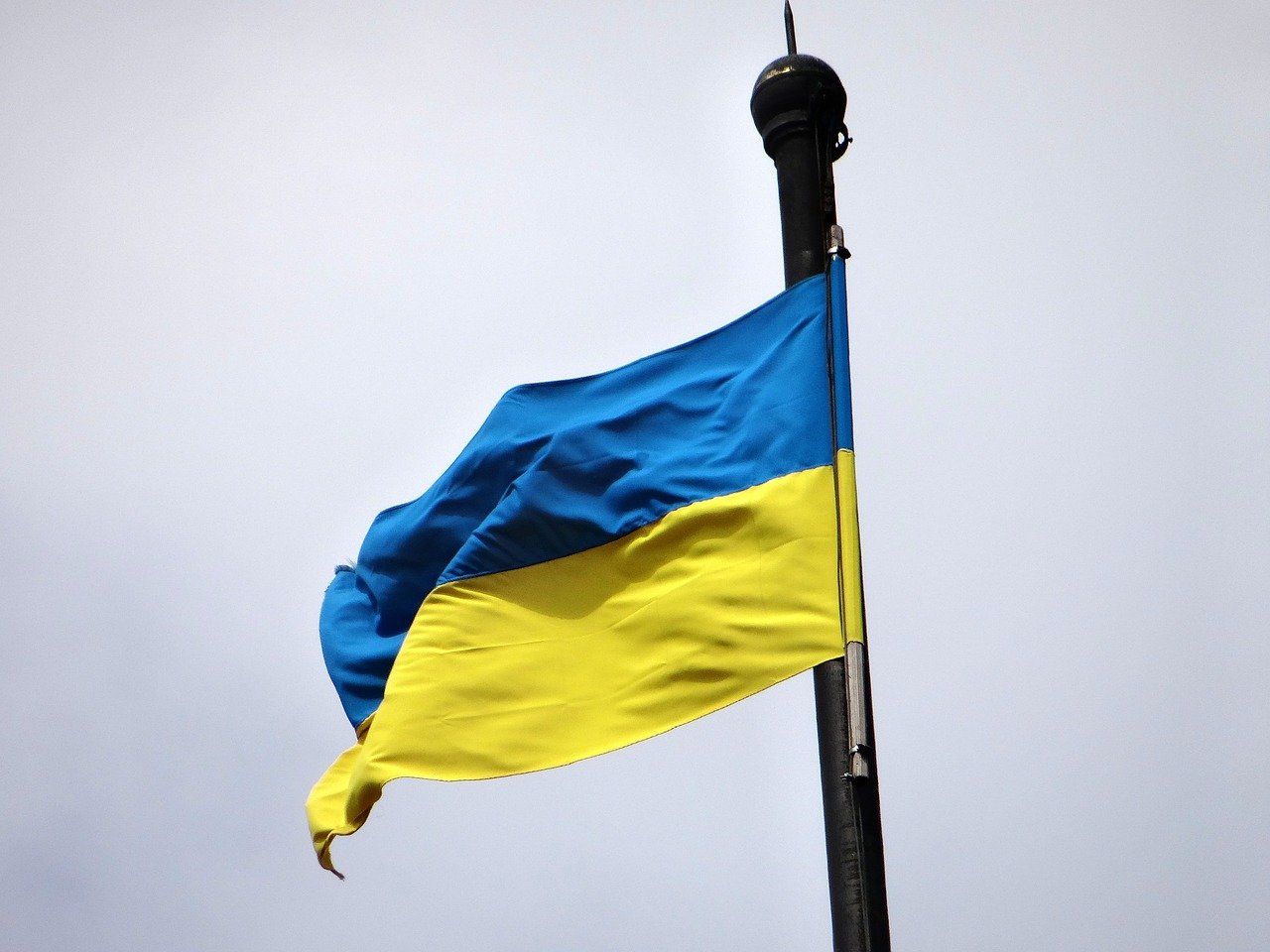 Ukraine invasion: Copa-Cogeca to 'put in place concrete actions'