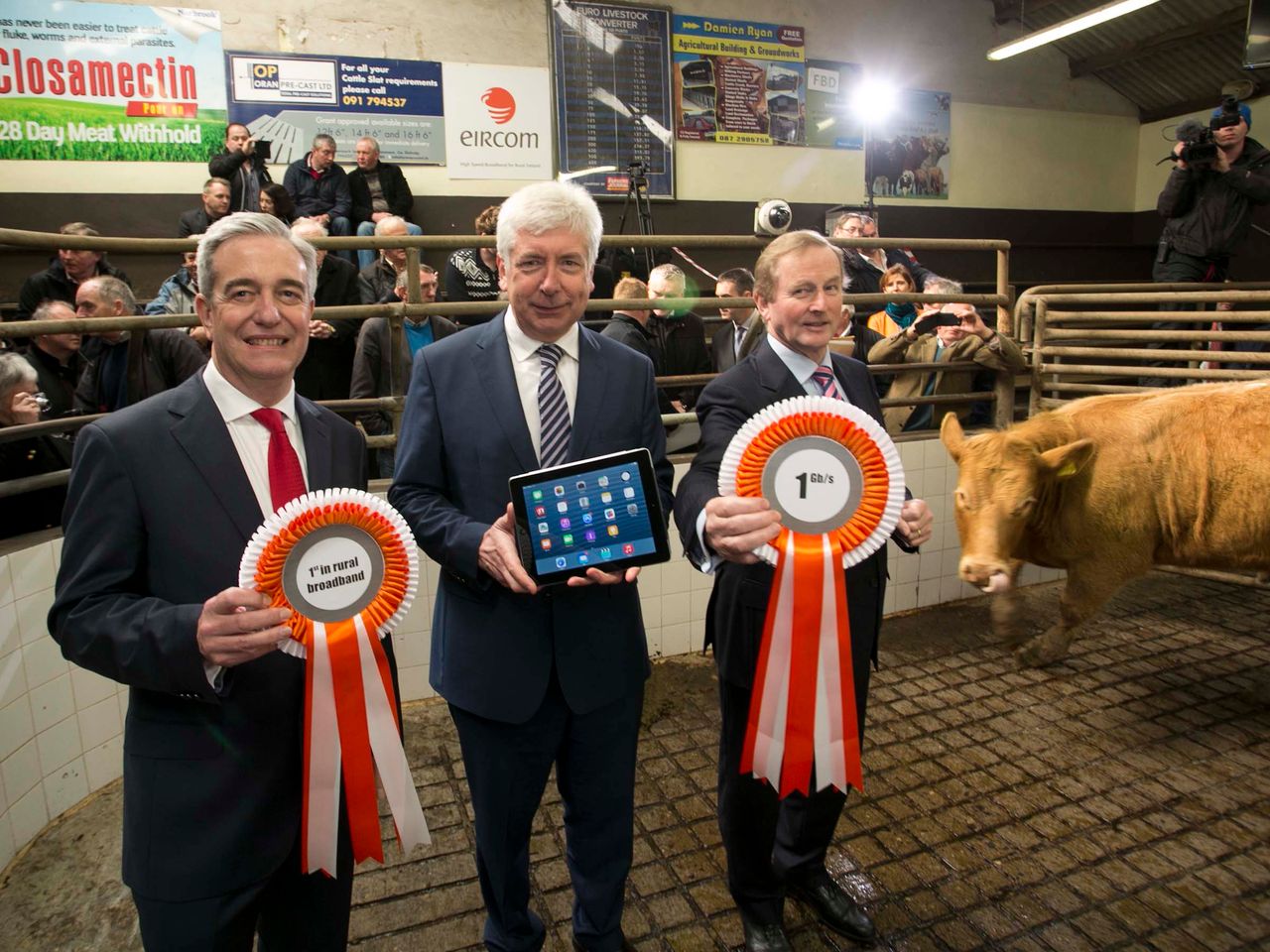 90,000km of cable to bring high-speed broadband to rural Ireland