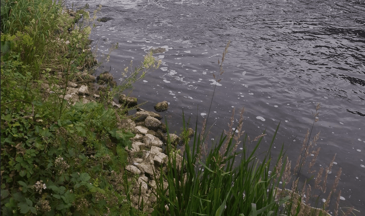 'Save the Boyne' to walk in protest against Dawn Meats' wastewater plans