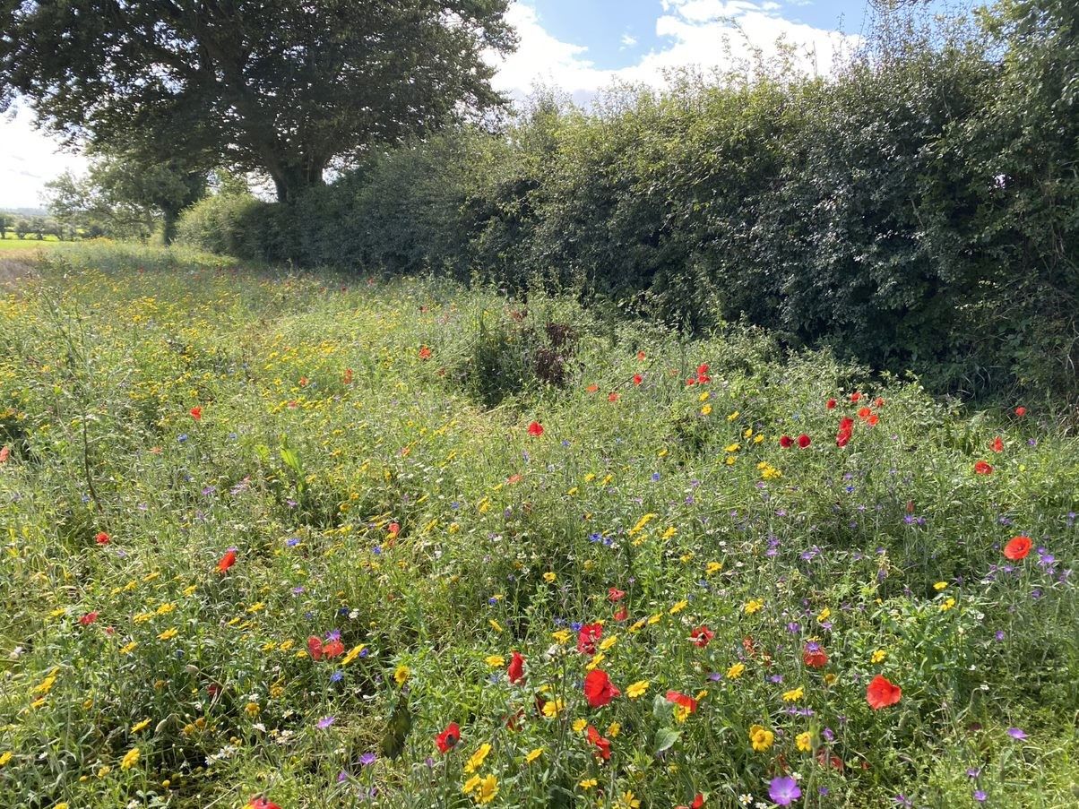 Views sought on Farming for Nature