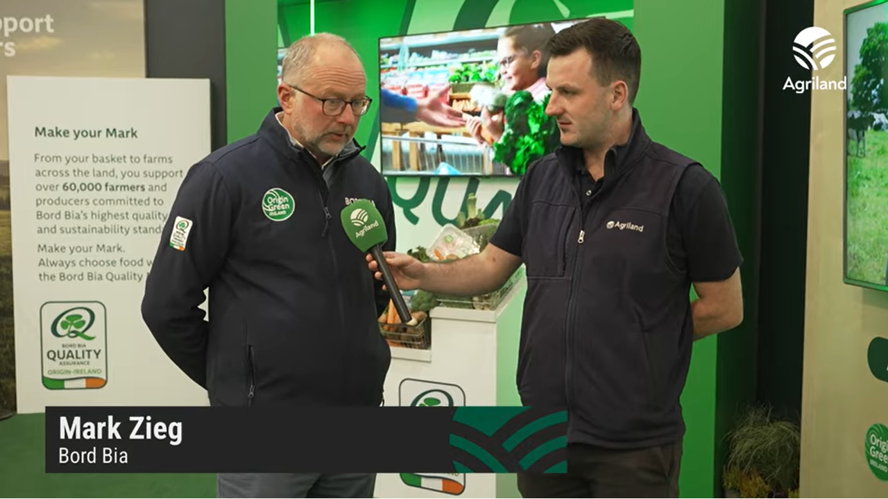 Watch: Bord Bia beef market outlook and review at Ploughing 2025