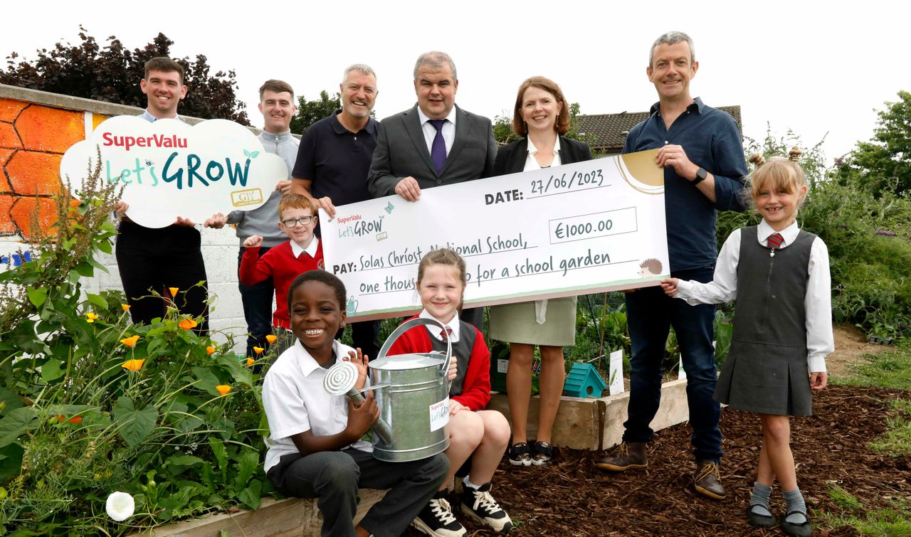 Tallaght school wins national Let's GROW initiative