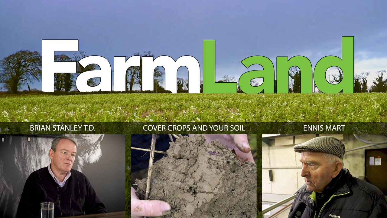 This week’s FarmLand: Ennis Mart, cover crops and Sinn Féin on farming