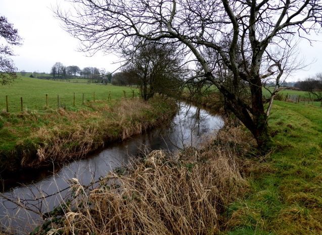 Opinion: Latest EPA water-quality report disappointing; but on-farm solutions exist