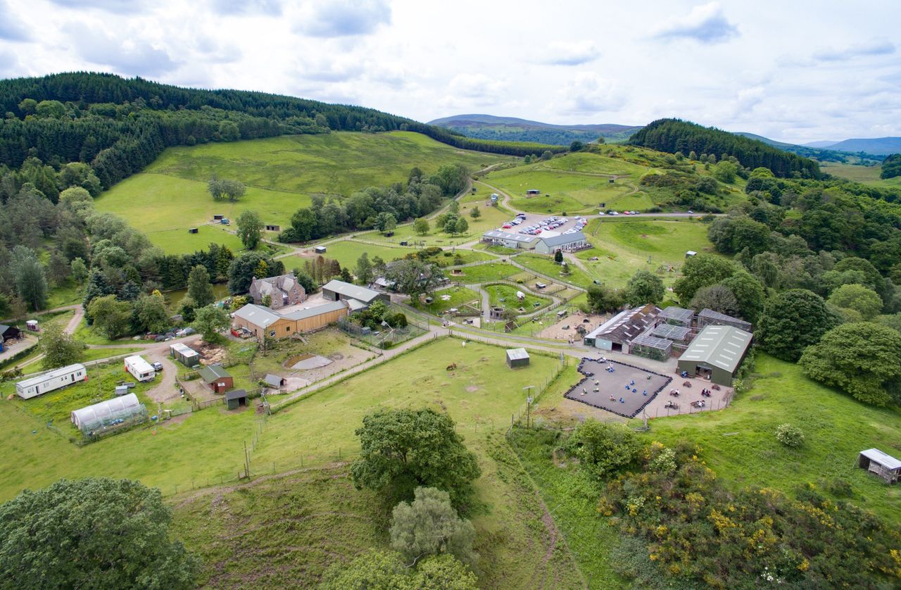 'Dream big': Wildlife park on 131ac with 'year-round trade' for sale...in Scotland