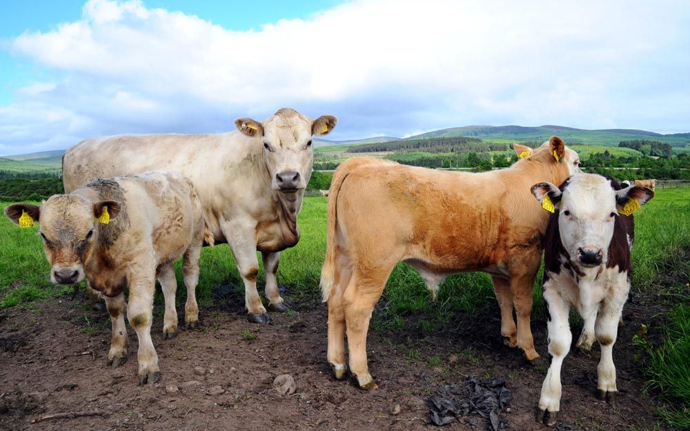 Biofarm 2023 to focus on   natural farm management