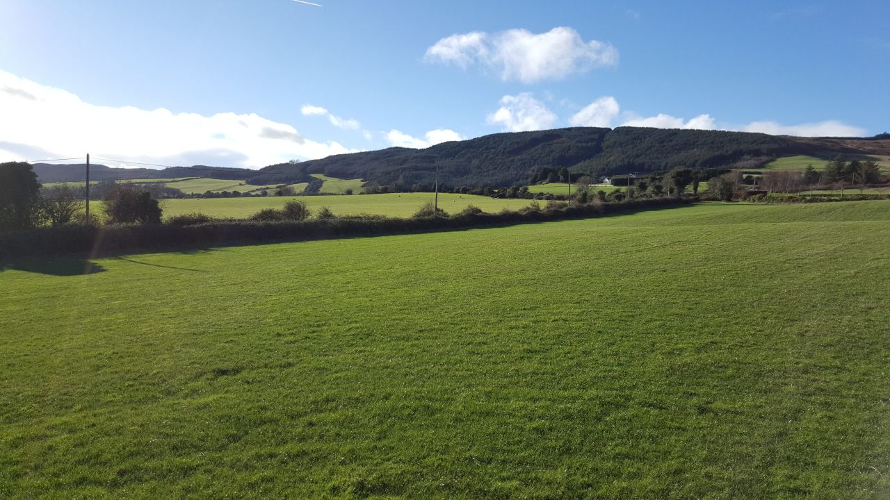 Land prices fell across all categories in Munster in 2016
