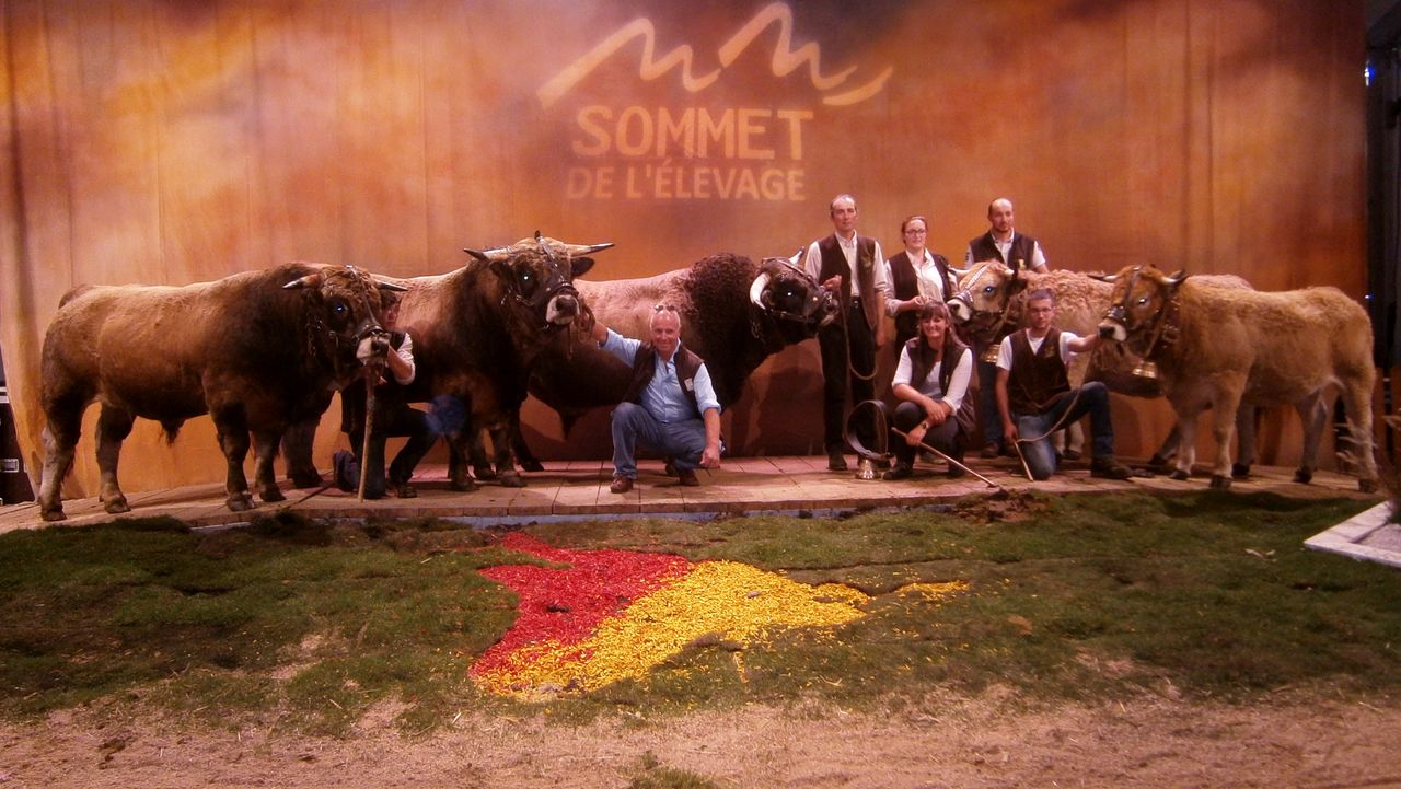 'Surprises planned' for special 30th Sommet de l'Élevage show