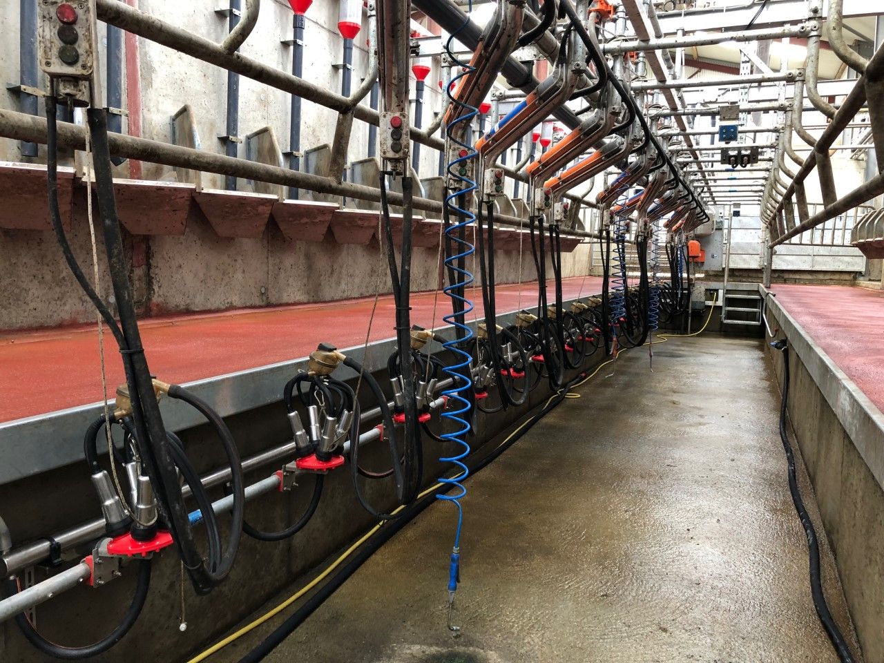 Milk Price Tracker: How does your co-op fare against its competitors?