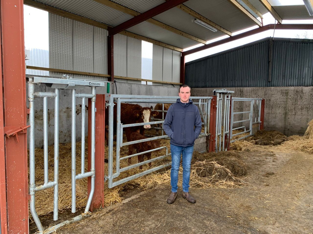 Beef focus: Young Monaghan farmer's model suckler setup