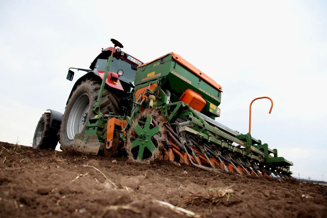 IFA tells tillage farmers to reduce sowings this autumn