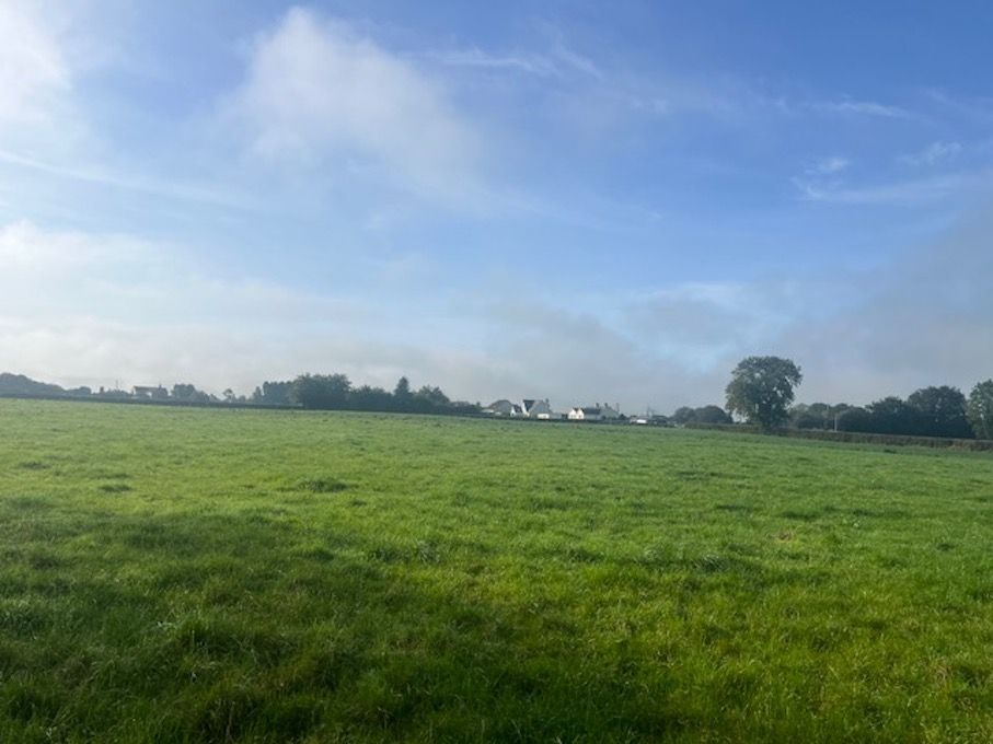 Knockroe, Tipperary land hailed as 'exceptional turnkey farm'