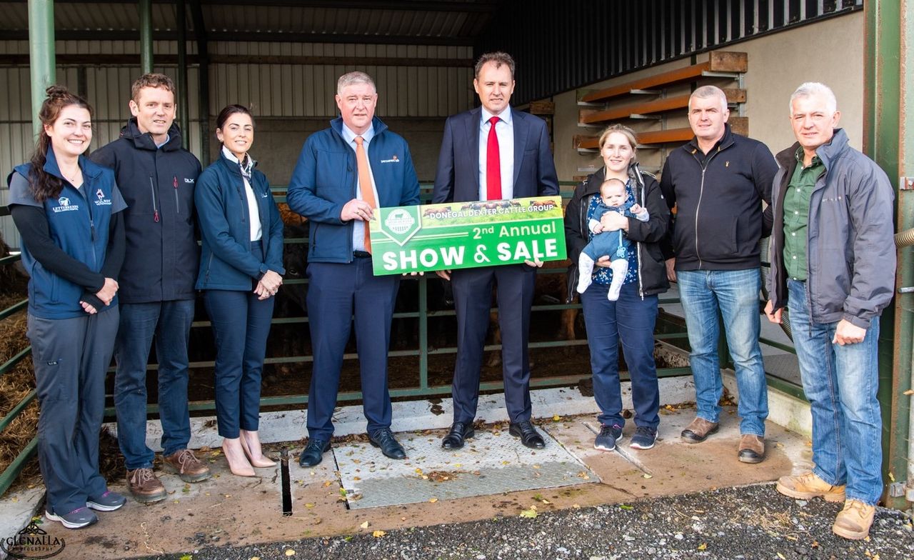 Donegal Dexter show and sale set for November 10