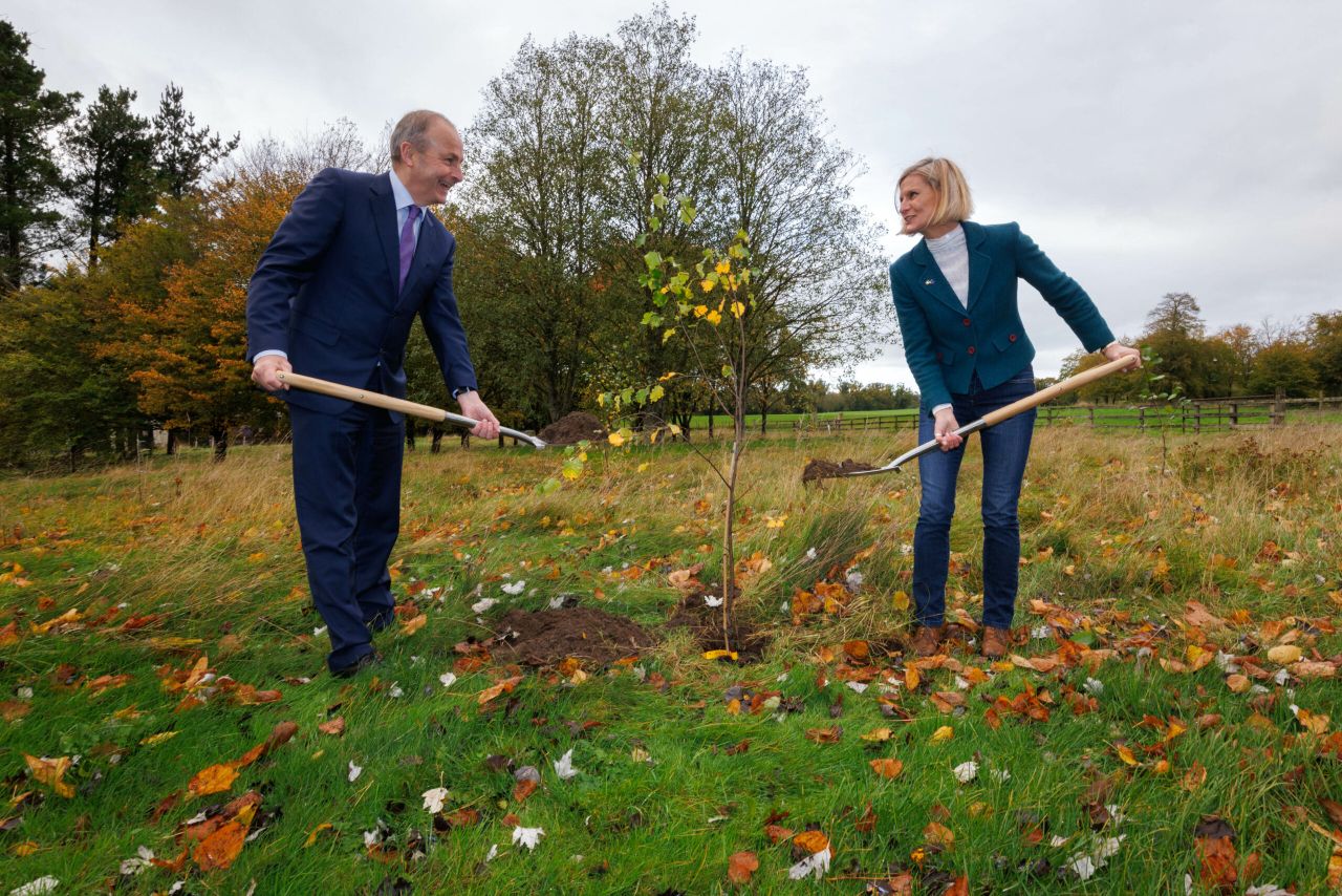 Legacy forestry issues need to be addressed - IFA