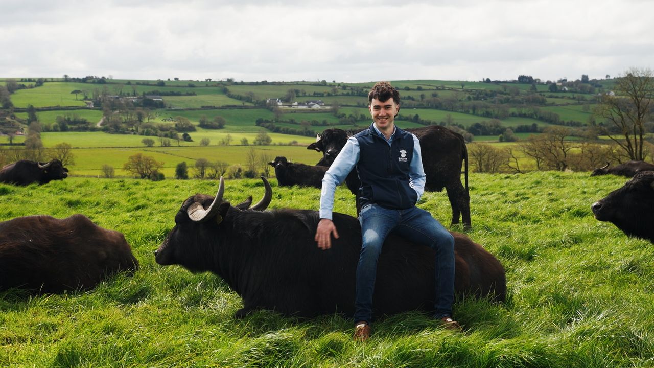 Watch: Ditching the cows for buffalos in Co. Cork