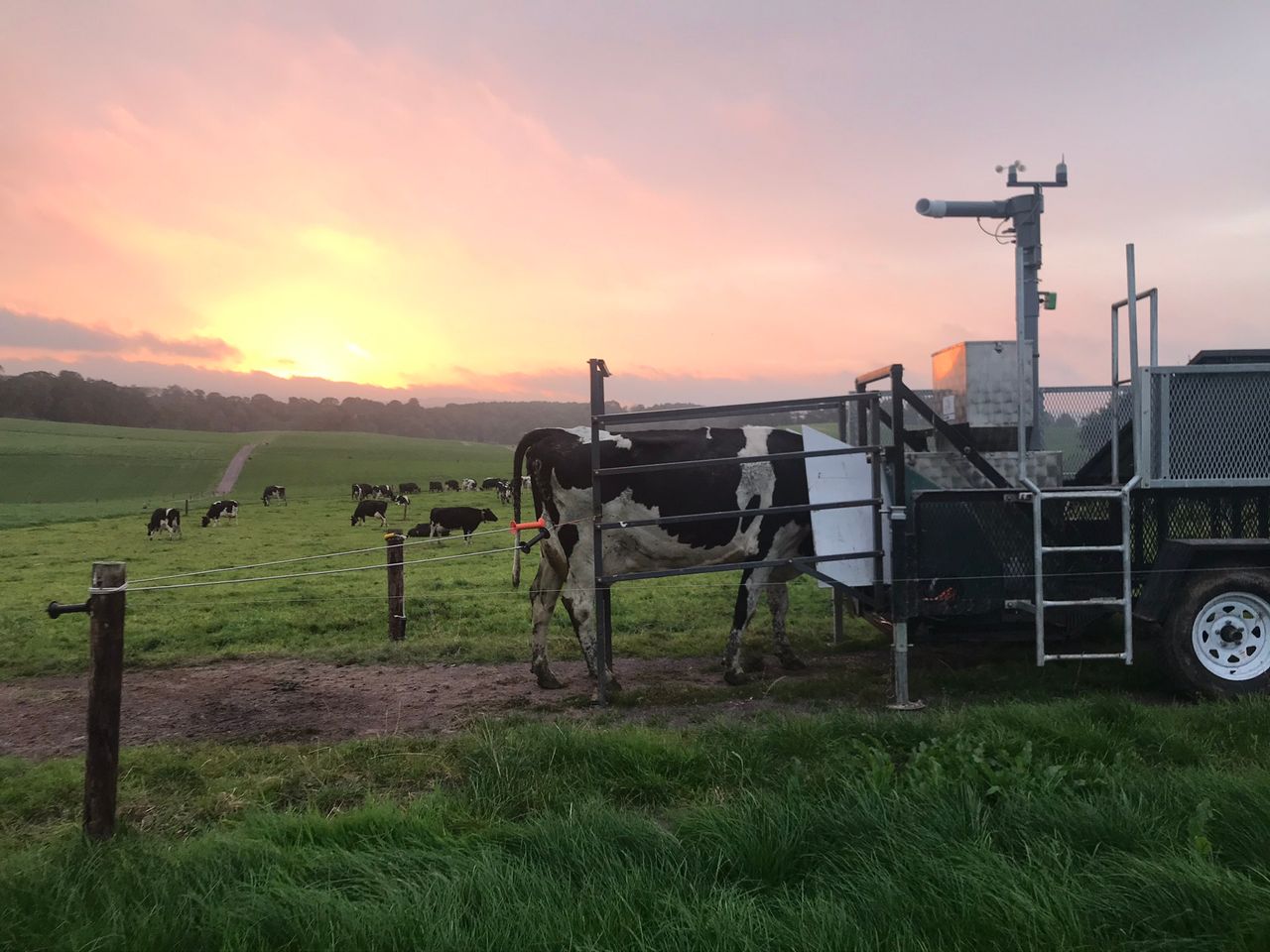 Science of dairy to feature at Moorepark open day