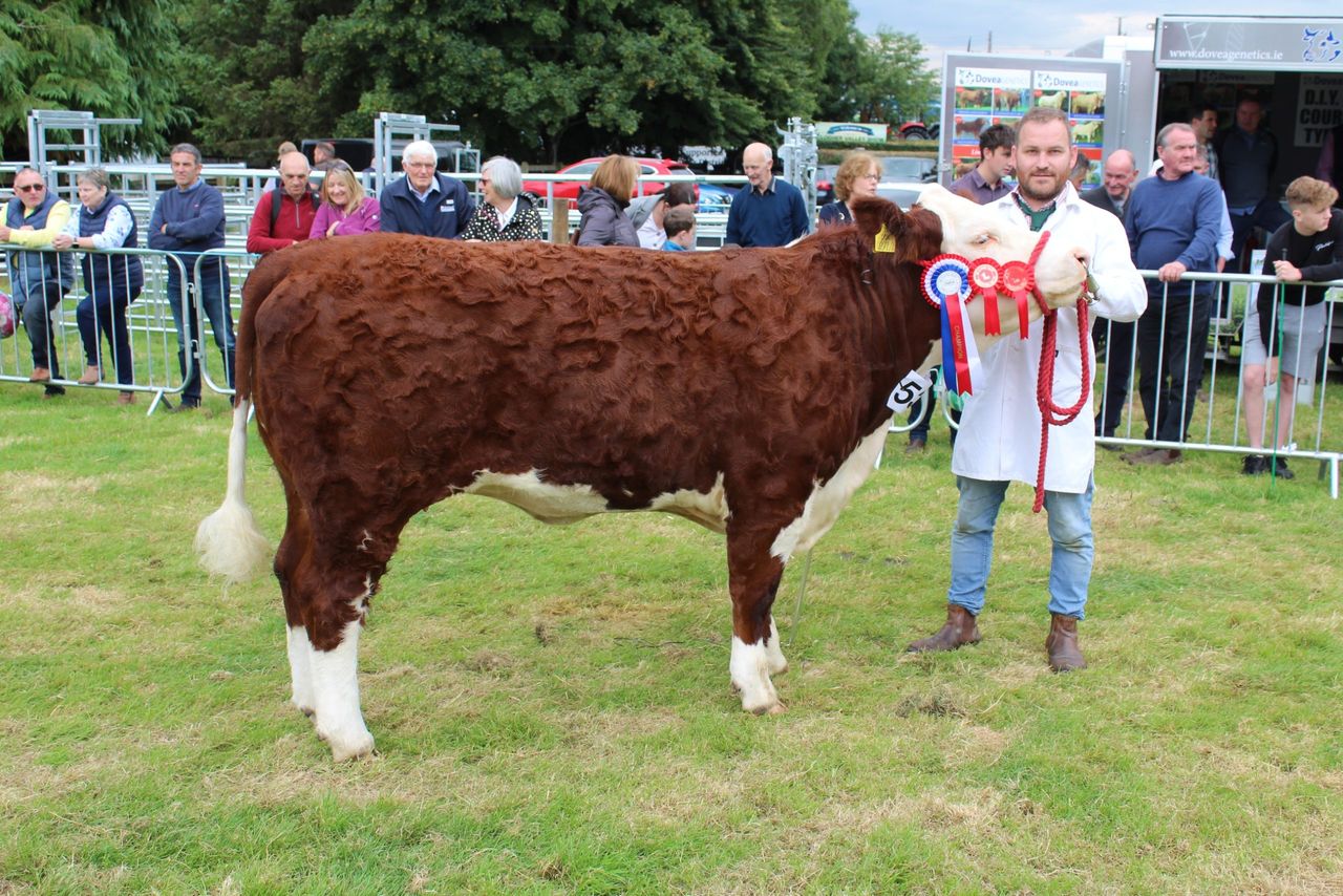 Opinion: NI agri show societies deliver in spades