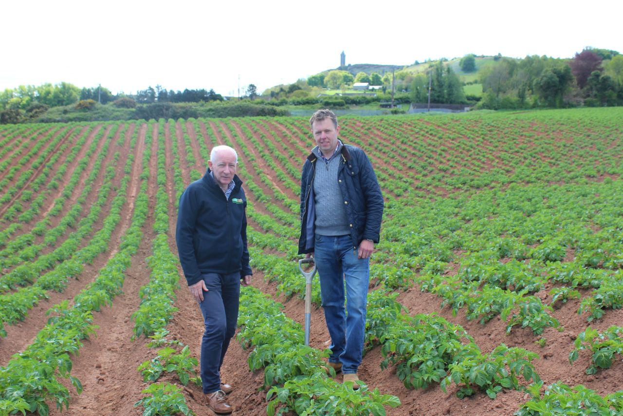First early potatoes expected to be in NI shops by mid-June